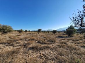 Rústico en Villena en PDA SOLANA, POLÍGONO 55, PARCELA 207